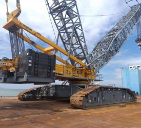 XE CẨU BÁNH XÍCH TPHCM