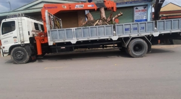 ƯU ĐIỂM CỦA XE CẨU TỰ HÀNH KHÔNG PHẢI AI CŨNG BIẾT