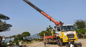 CHO THUÊ XE CẨU TỰ HÀNH - XE CẨU TẢI TẠI SÀI GÒN - LONG AN
